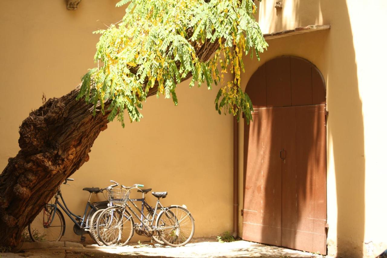Acacia Firenze - Primula Appartement Kamer foto